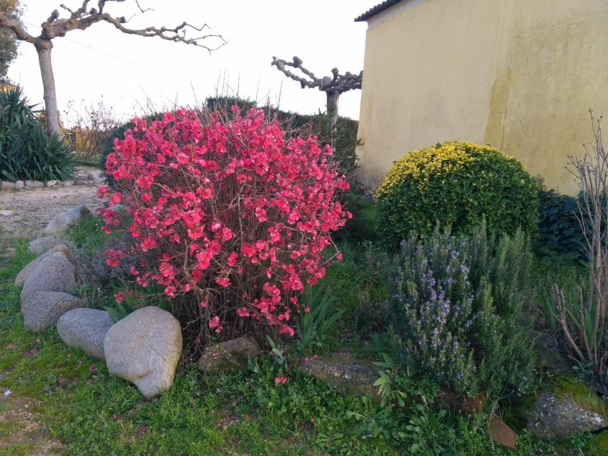 Casa Rural "Can Abres" Vilobi D'Onyar Girona Viloví de Oñar Zewnętrze zdjęcie