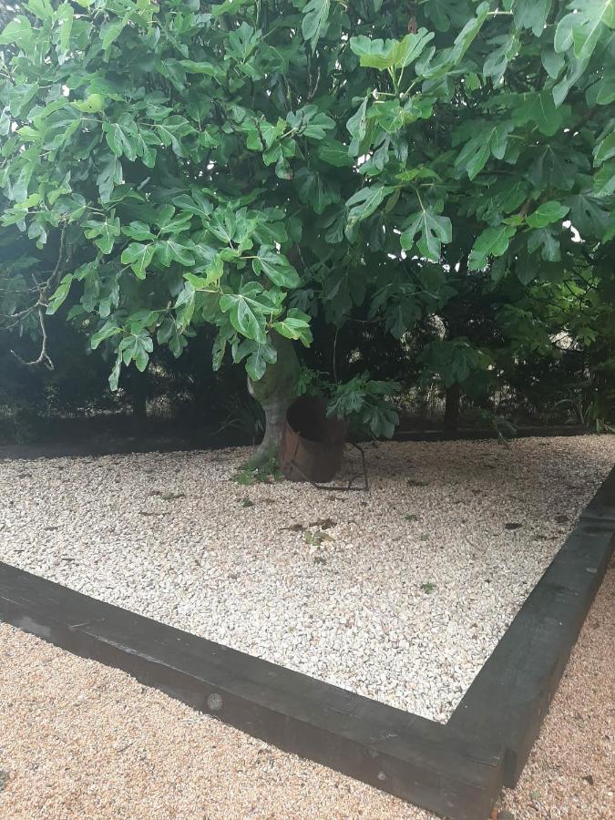 Casa Rural "Can Abres" Vilobi D'Onyar Girona Viloví de Oñar Zewnętrze zdjęcie